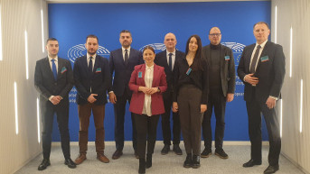 Radna grupa Nacionalni konvent EU i Srbi sa Kosova