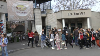 Deca sa Kosova u zoološkom vrtu u Beogradu