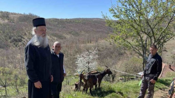 Vladika Teodosije