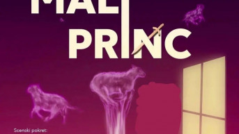 Predstava Mali princ