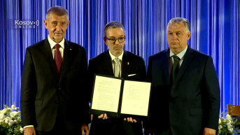 Andrej Babiš, Herbert Kikl i Viktor Orban