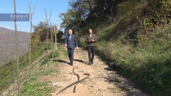 Štrpce: Počela sadnja drveća na mestima gde su bile deponije