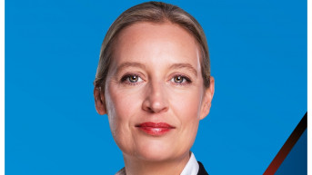 Alis Vajdel