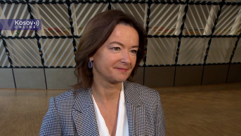 tanja fajon