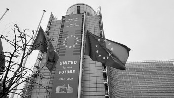 Zastave EU na pola koplja