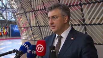 Plenković Plenković