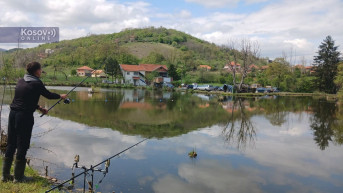 Vuča