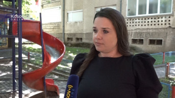 Direktorka Vulović Direktorka Vulović