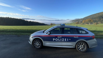 Austrijska policija