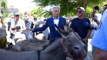 Arijanit Koci sa magarcima ispred skupštine