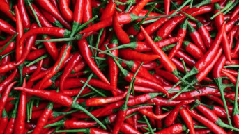 Čili paprika