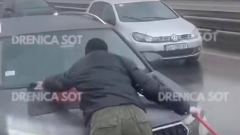 drenica sot