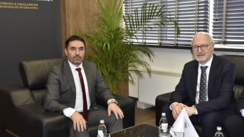 Živić i Gero