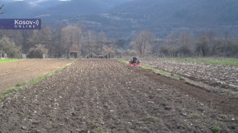 njiva štrpce 