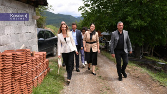 porodica leposavić