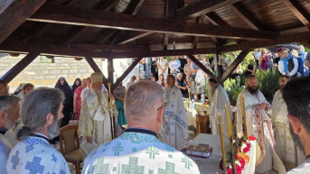Zočište 14 07 2026