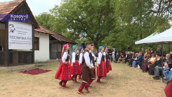 pesničkareč