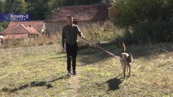 Aleksandar Piljic iz Sevca pripitomio vuka