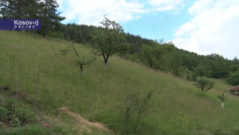 Šar planina