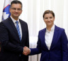 Sarec i Brnabic