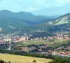 bojović