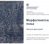 Izlozba Morfogenetska polja