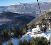 Brezovica