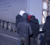 migranti