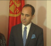 Ambasador Turske