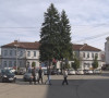 Gora