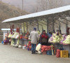 pijca