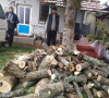 Drva za ogrev 