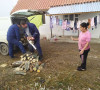 Dodela drva