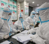 korona virus