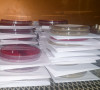 Koronavirus
