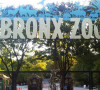 ZOO Bronks