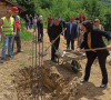 Dušica Nikolić