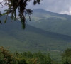 Kula