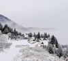 Brezovica