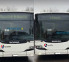 autobusi glasanje dijaspora
