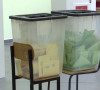 izbori albanija