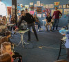 Kosovska Mitrovica Eko art fest