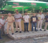 Pesnici