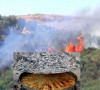 Požar-Vučitrn