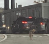 Ruski zvaničnici napuštaju Kosovo