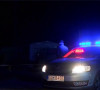 Policijska akcija
