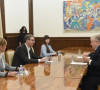 Vucic i Briljov