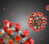 Koronavirus