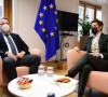 Brnabić i Varhelji