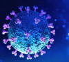 koronavirus